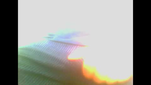 maioris6 online show from February 2025 08:07:01 AM