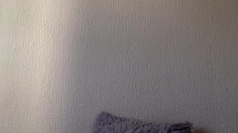 majo_gomezz online show from March 2026 07:41:02 PM