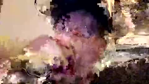 majorxoxo online show from September 2025 02:33:01 AM