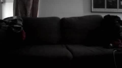 majorxoxo online show from June 2026 09:22:01 AM