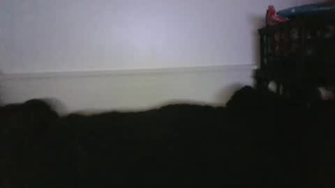 CommandbondageNipples bondage kink submissive lovense slave wgear. modequiethvyBondage If Password goldfish online show from February 2026 04:00:01 AM