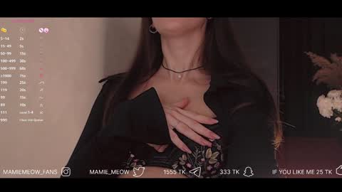 Snapshot of mamiemeow chatting on January 2025 03:58:01 PM Your Miss Alice online show from January 2025 03:58:01 PM