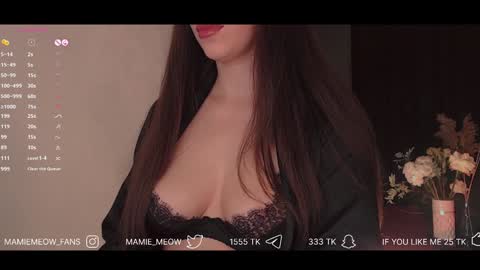 Snapshot of mamiemeow chatting on January 2025 03:51:01 PM Your Miss Alice online show from January 2025 03:51:01 PM