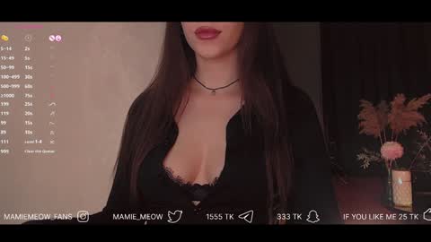 Snapshot of mamiemeow chatting on February 2025 11:43:02 AM Your Miss Alice online show from February 2025 11:43:02 AM