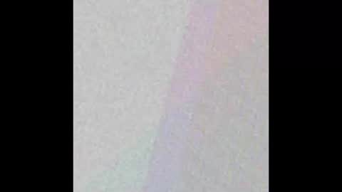 manatee bear online show from September 2025 03:08:01 AM