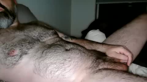 Man Dime Bear17 online show from November 2025 03:39:02 AM