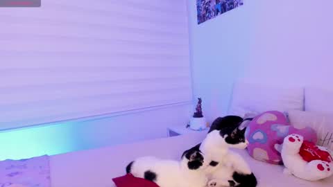 Snapshot of manelyk_10 chatting on February 2026 10:08:01 PM online show from February 2026 10:08:01 PM