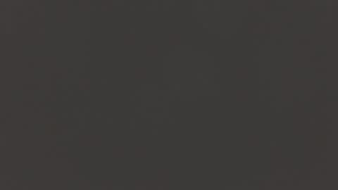 Manuel RL online show from February 2025 11:17:02 AM