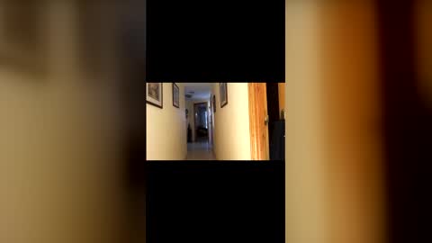 marcos260526 online show from February 2026 03:43:01 PM