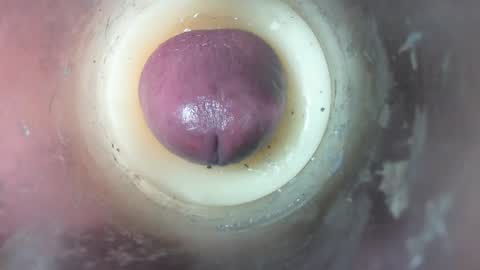 Marc online show from February 2026 07:06:01 PM