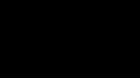 Elle online show from October 2025 03:18:01 PM