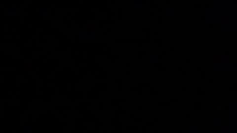 Elle online show from November 2025 03:30:02 PM