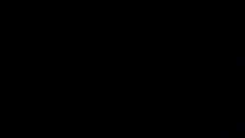 Elle online show from January 2026 12:55:01 PM