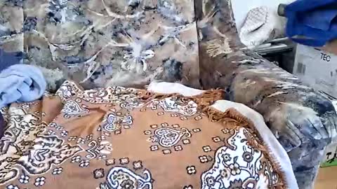 marian20242025 online show from March 2026 08:53:02 AM