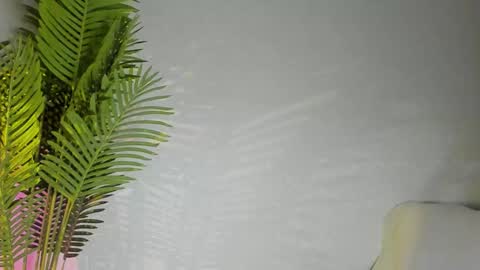 Snapshot of maribett chatting on November 2025 07:45:02 PM Masha online show from November 2025 07:45:02 PM