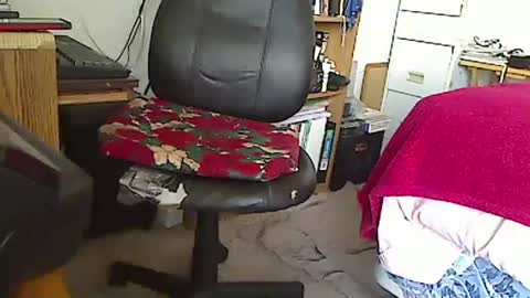 MarioDavidAndybros online show from January 2025 07:43:01 PM