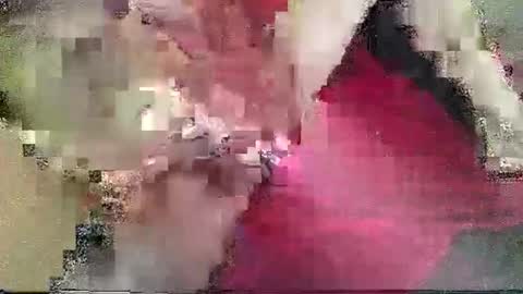 Snapshot of mark89506 chatting on February 2025 02:53:02 PM DJs All Day Playhouse online show from February 2025 02:53:02 PM