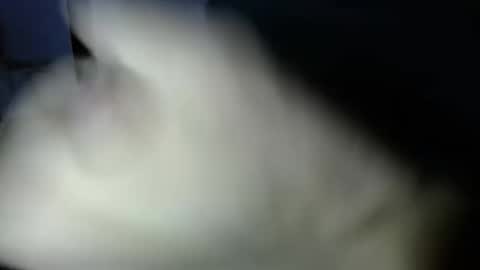 Snapshot of mark_270 chatting on April 2026 06:06:02 PM mark_270 online show from April 2026 06:06:02 PM