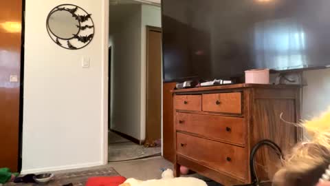 maroon_moon online show from February 2025 04:09:02 PM