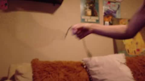     online show from January 2026 07:11:02 AM