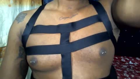 camilo online show from February 2025 03:12:01 AM