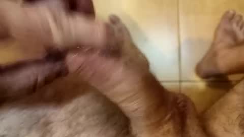 Chriss online show from October 2025 03:13:01 PM