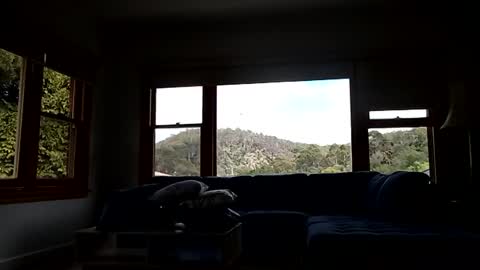 Snapshot of mattlesnake_101 chatting on February 2026 12:40:02 AM mattlesnake_101 online show from February 2026 12:40:02 AM