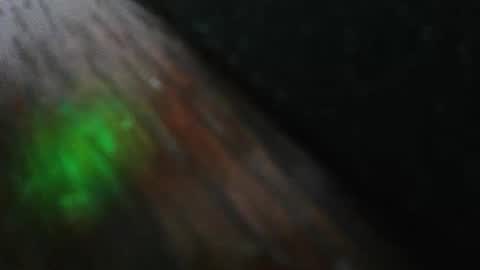 Snapshot of mattw31019 chatting on February 2026 08:29:02 PM mattw31019 online show from February 2026 08:29:02 PM