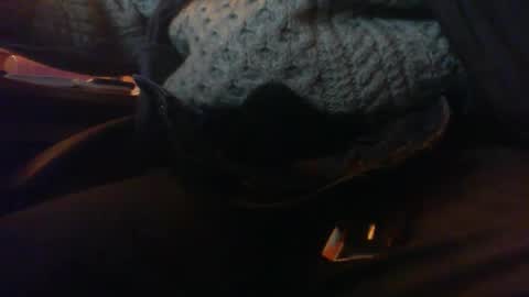 Snapshot of maturedaddi chatting on January 2025 07:07:02 PM Maturedaddi online show from January 2025 07:07:02 PM