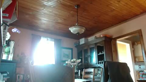 Maurice online show from March 2025 09:03:02 PM