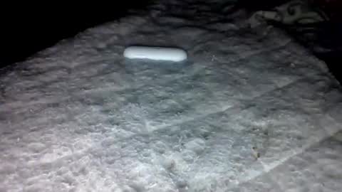 mauricescott online show from February 2026 06:22:01 AM