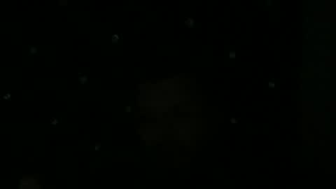 maurodcali online show from June 2026 02:02:02 AM