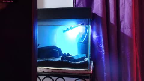 Snapshot of maxianomal chatting on March 2026 02:04:01 AM Max online show from March 2026 02:04:01 AM