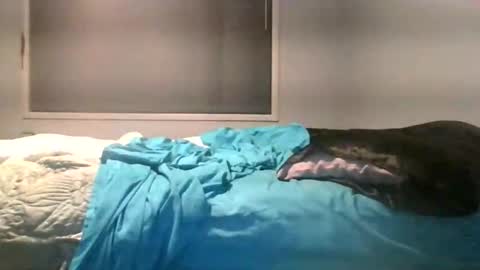 Max online show from June 2026 02:28:02 AM