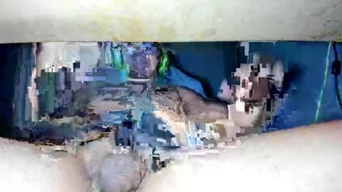 Snapshot of maykalvess chatting on February 2025 09:58:01 PM maykalvess online show from February 2025 09:58:01 PM