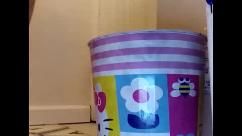 Snapshot of meaderd740870 chatting on January 2025 04:19:02 AM meaderd740870 online show from January 2025 04:19:02 AM