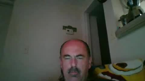 Snapshot of meaderd740870 chatting on February 2025 02:29:02 AM meaderd740870 online show from February 2025 02:29:02 AM