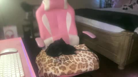 Snapshot of meetsouthernpeach chatting on September 2025 04:17:02 AM Southern Peach online show from September 2025 04:17:02 AM