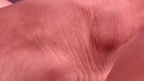 megan akbar online show from January 2025 02:56:02 PM