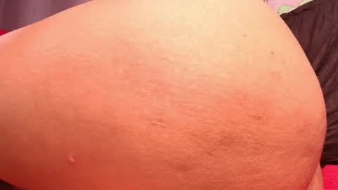 megan akbar online show from March 2025 02:56:01 PM