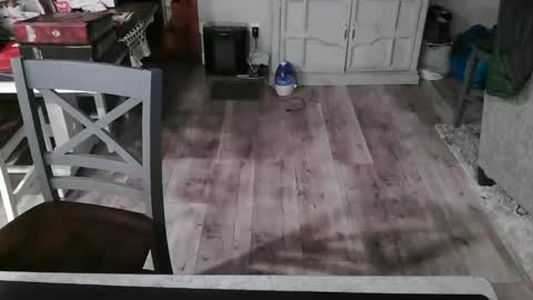 GlamTransGoddess online show from February 2025 12:27:02 AM