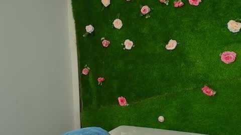 megatitts_ online show from January 2026 05:38:02 PM