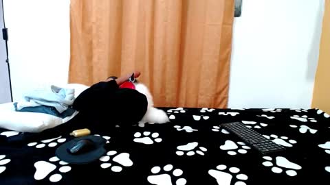 MEIS online show from March 2026 01:44:02 AM