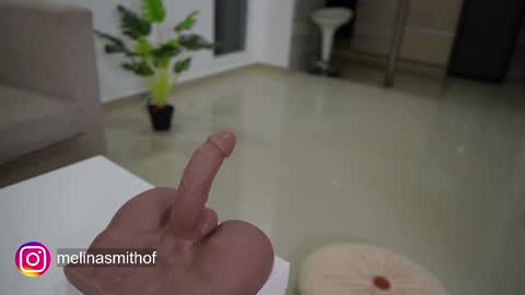 MelinaSmith  online show from March 2025 03:11:02 AM