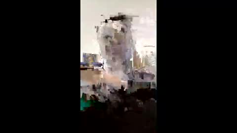 melissaknowles46 online show from February 2026 12:59:02 PM