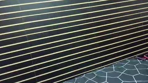 melissakri online show from March 2026 02:50:02 AM