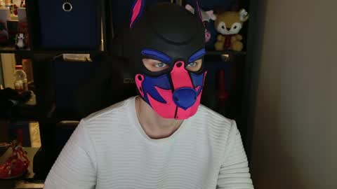 Snapshot of mellpup chatting on April 2026 12:08:02 PM MellPUP online show from April 2026 12:08:02 PM