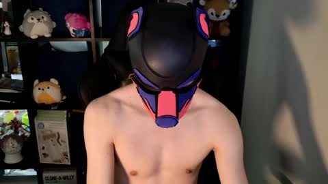 Snapshot of mellpup chatting on May 2026 05:10:02 PM MellPUP online show from May 2026 05:10:02 PM