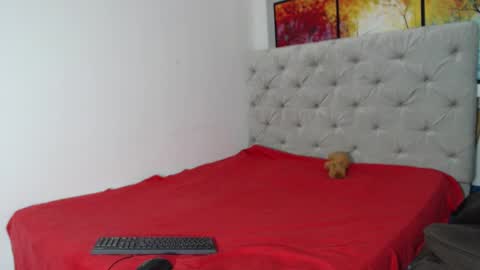 Snapshot of melody_phillips2 chatting on December 2024 07:17:01 AM melody phillips online show from December 2024 07:17:01 AM