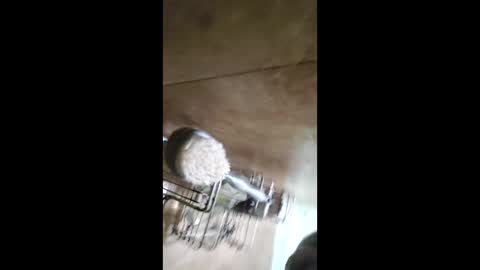 Snapshot of men_seeker chatting on February 2026 12:49:01 AM men_seeker online show from February 2026 12:49:01 AM